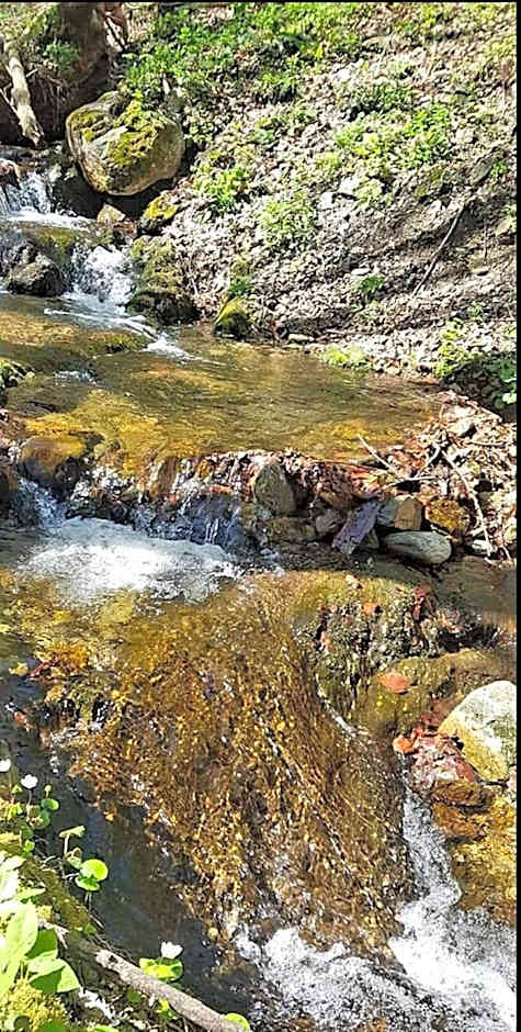 Casa de vacanta Sadu