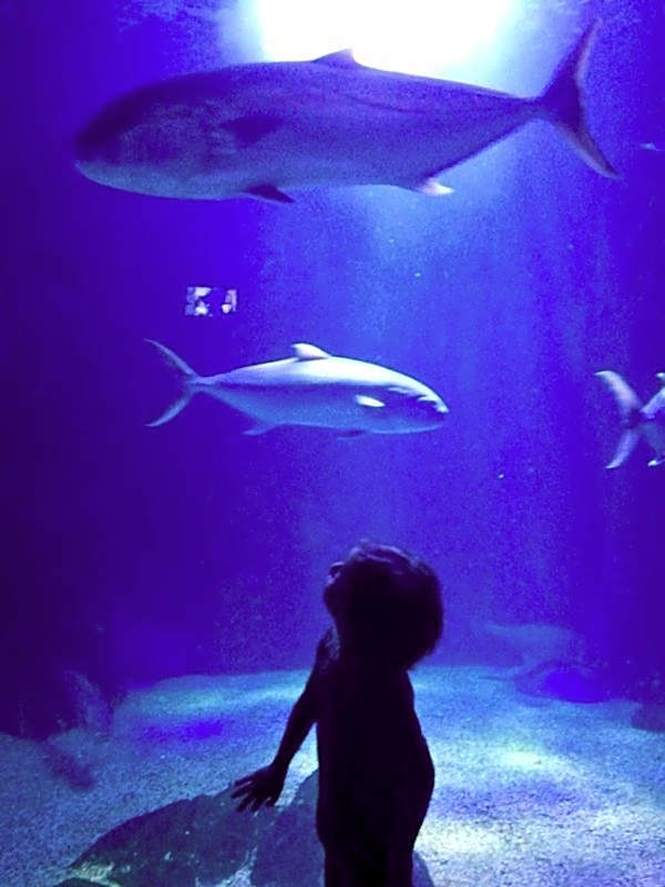 Casa Gianni Cala Gonone Mare