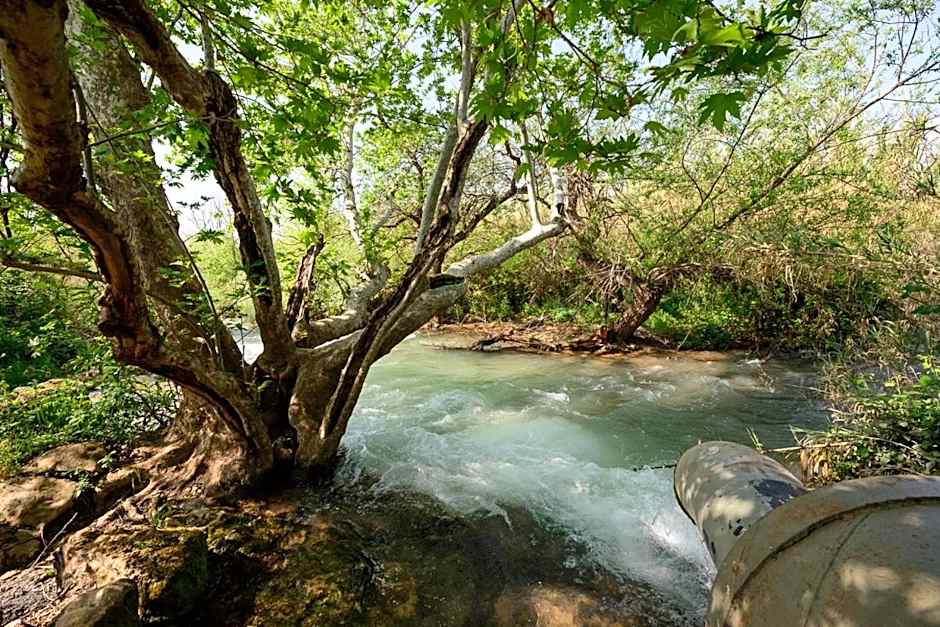 Magical in the Galilee