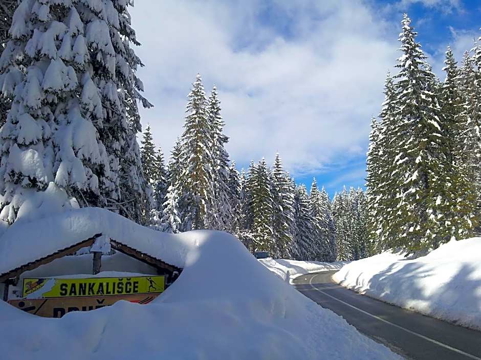 Hotel Jelka Pokljuka