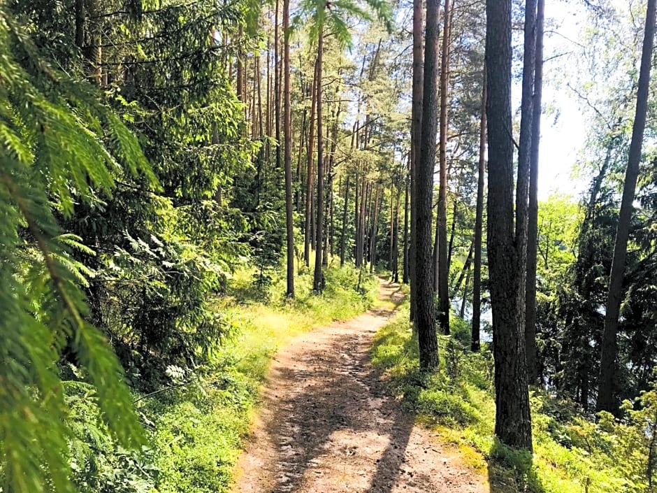 Samodzielny Dom Przy Lesie