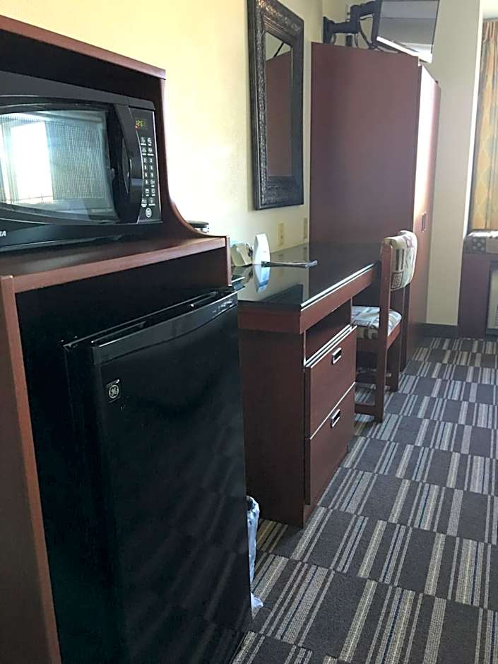 Microtel Inn & Suites By Wyndham Indianapolis Airport