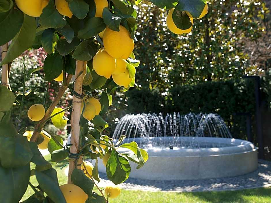 Park Hotel Villa Belvedere