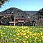 Bed and Breakfast Casanova de Sant Miquel