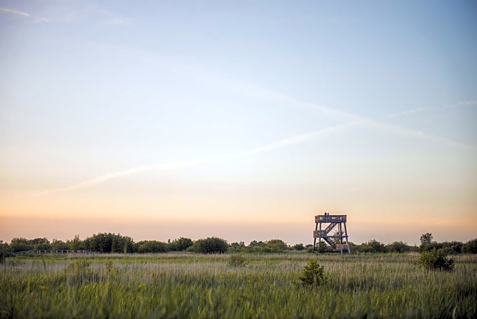Tiny Houses Bij De Compagnons