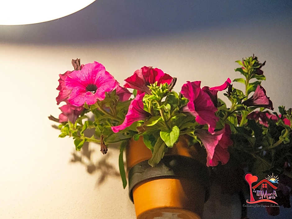 La DIMorA di Marco - Exclusive Art Rooms Salento