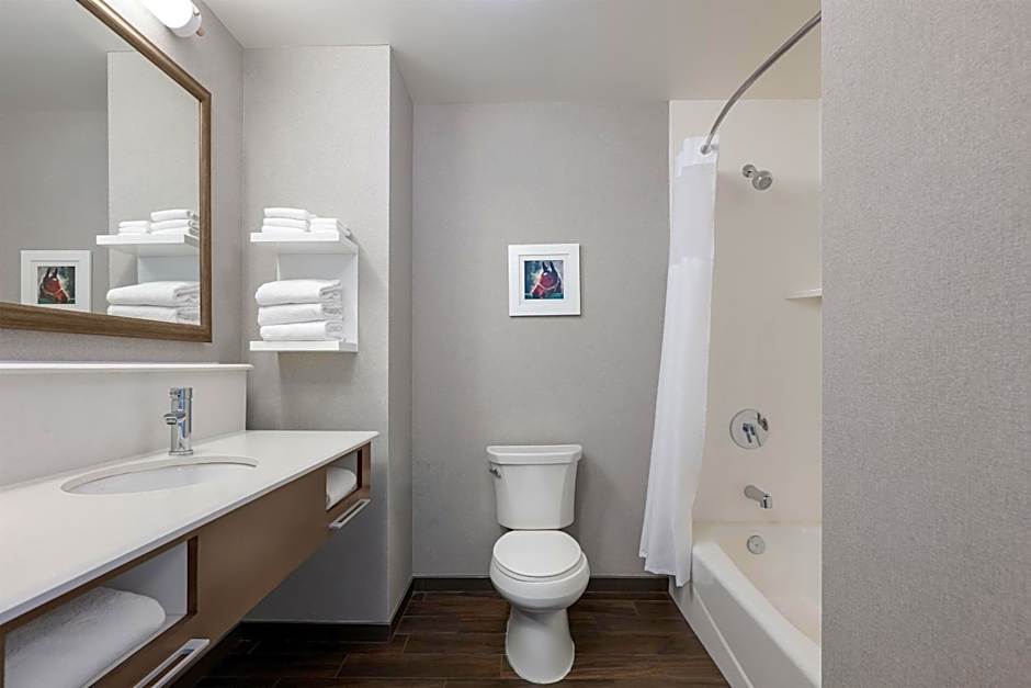Hampton Inn and Suites Memphis Germantown