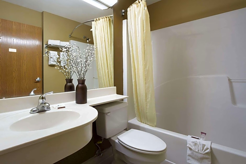 Microtel Inn & Suites by Wyndham Lithonia/Stone Mountain