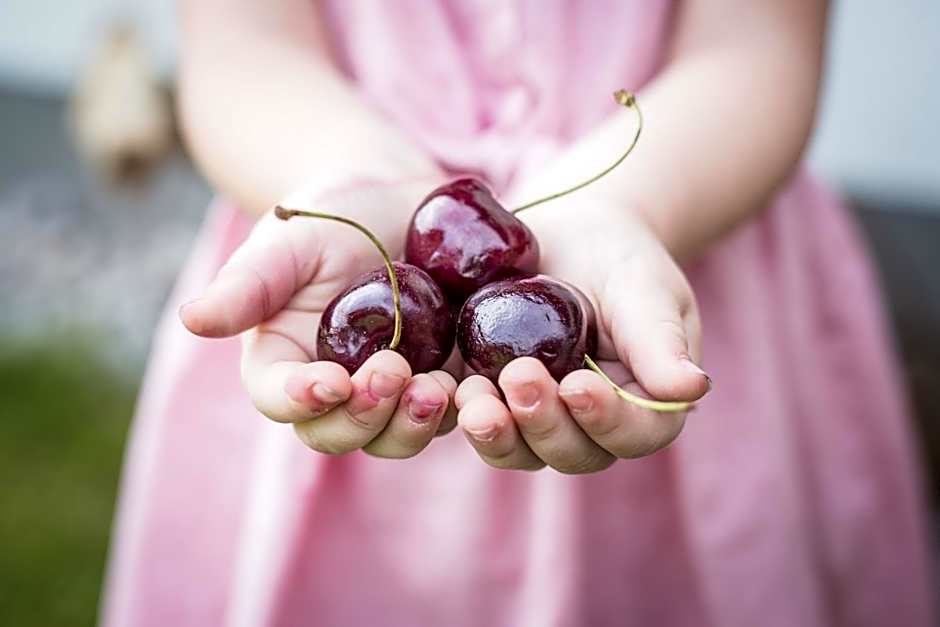 Hotel AlpenSchlössl