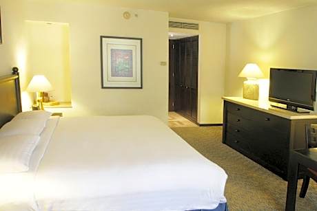 Executive Room, 1 King Bed