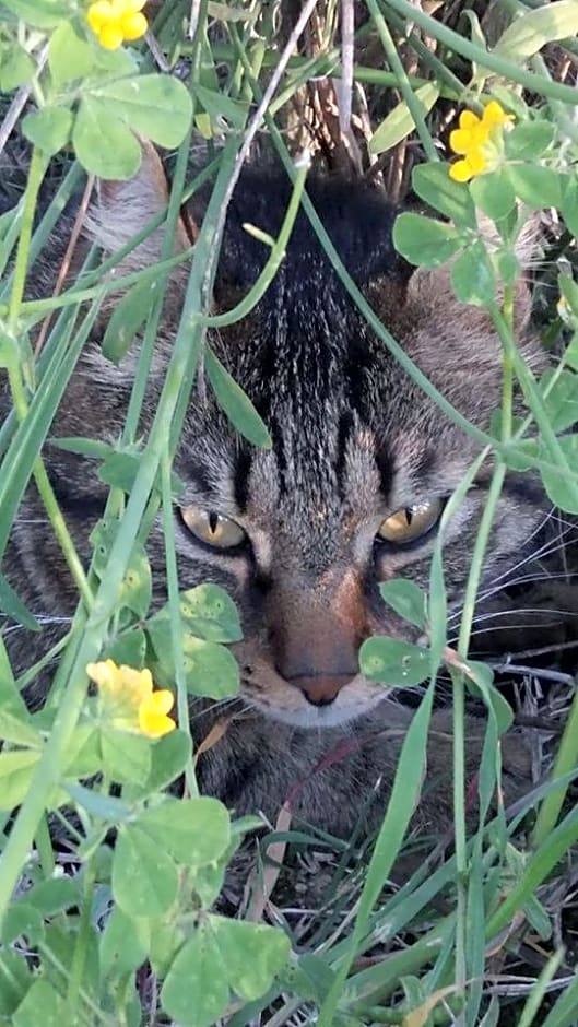 Locanda San Francesco