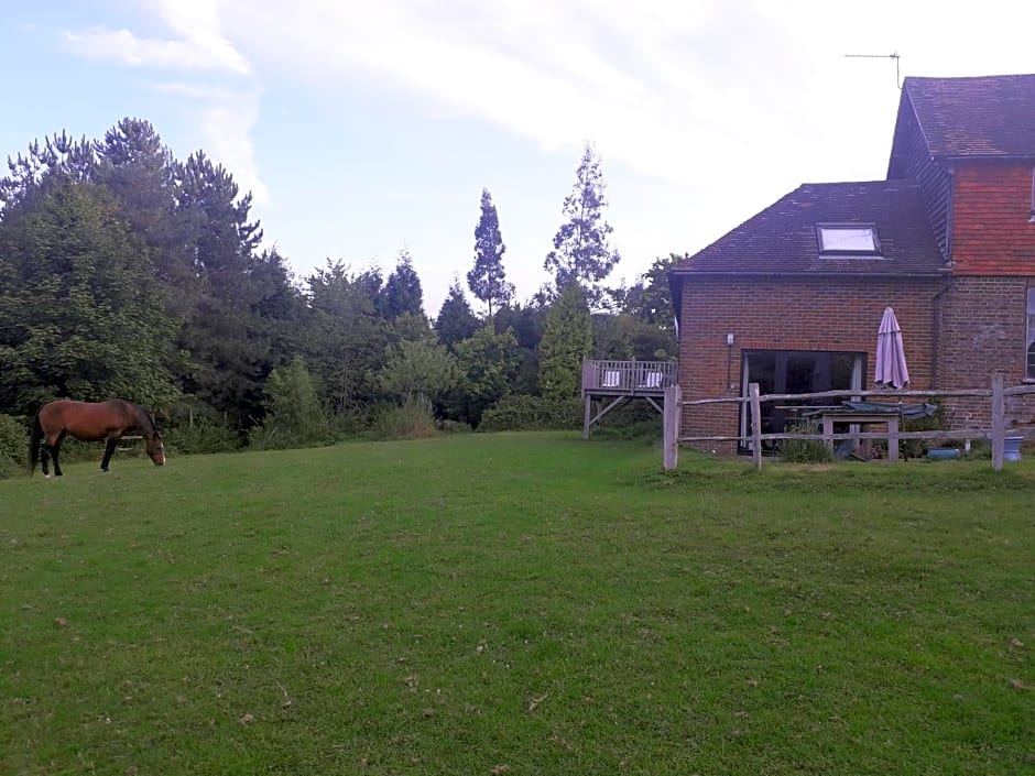 Moaps Farm B&B support small business, welcome, check in from 5 pm