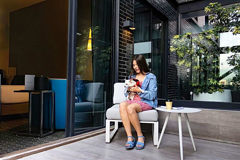 Courtyard by Marriott Mexico City Toreo