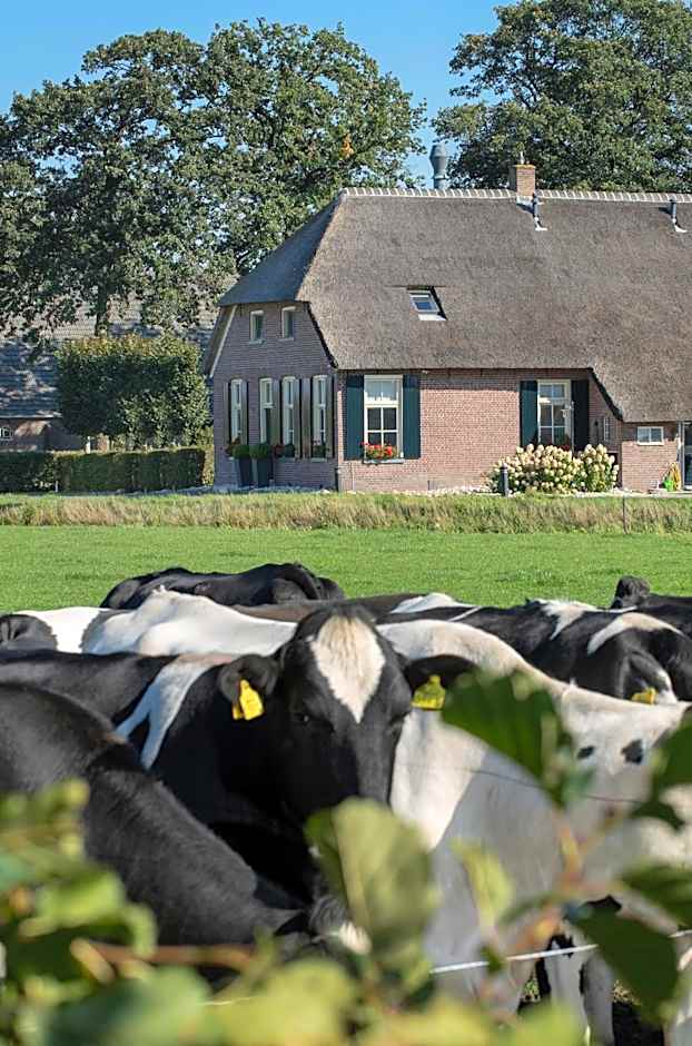 De Veurdeale