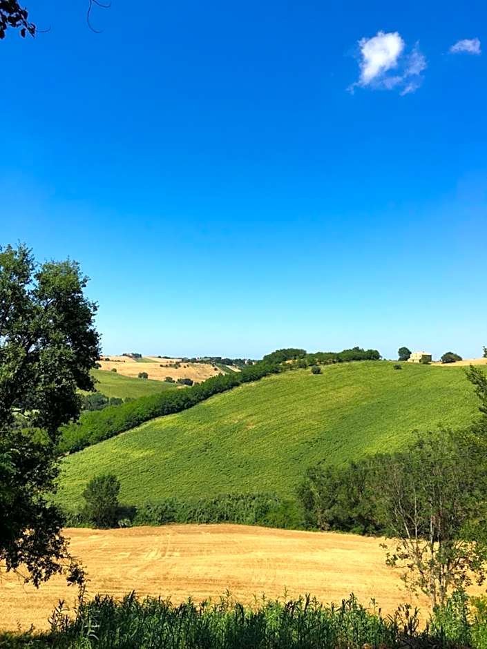 Il Posto Perfetto