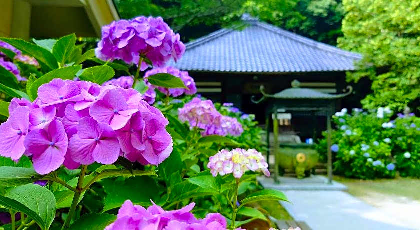 Apa Hotel Yamaguchi-Hofu
