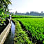 Ubud Sawah Scenery Villa and Homestay