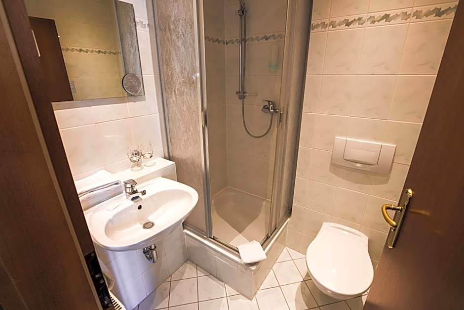 Berghotel Friedrichshöhe - Sauna, Pool & Natur