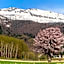 Furano - Hotel / Vacation STAY 35777