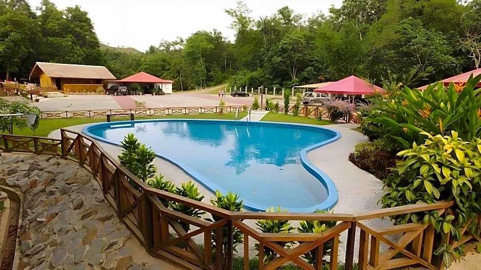 Borneo Tree House