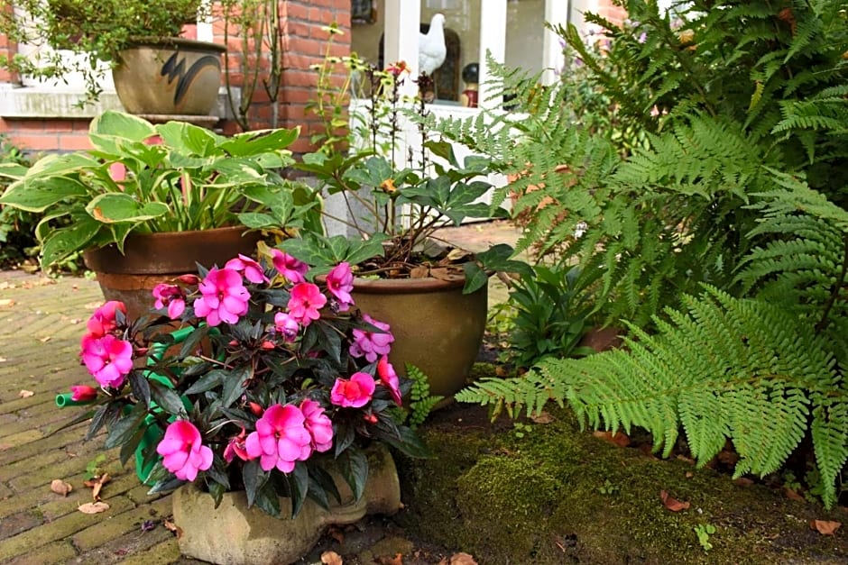 Bed & Breakfast Leonie – The Hague, WV