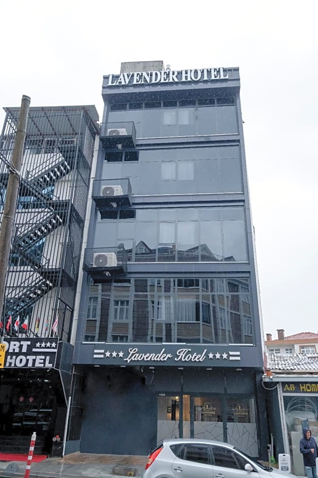 Lavender Airport Hotel