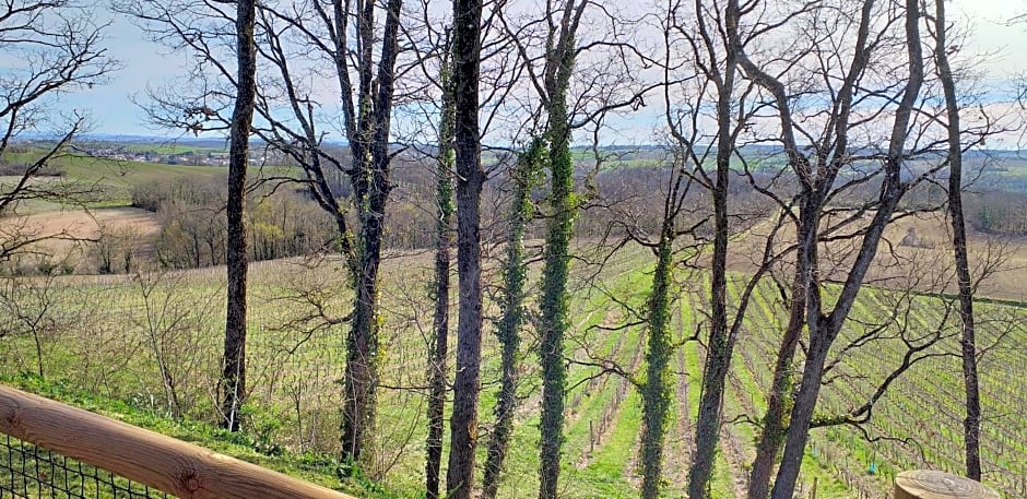 Les Lodges D'adelaide – Cahuzac-sur-Vère, CO