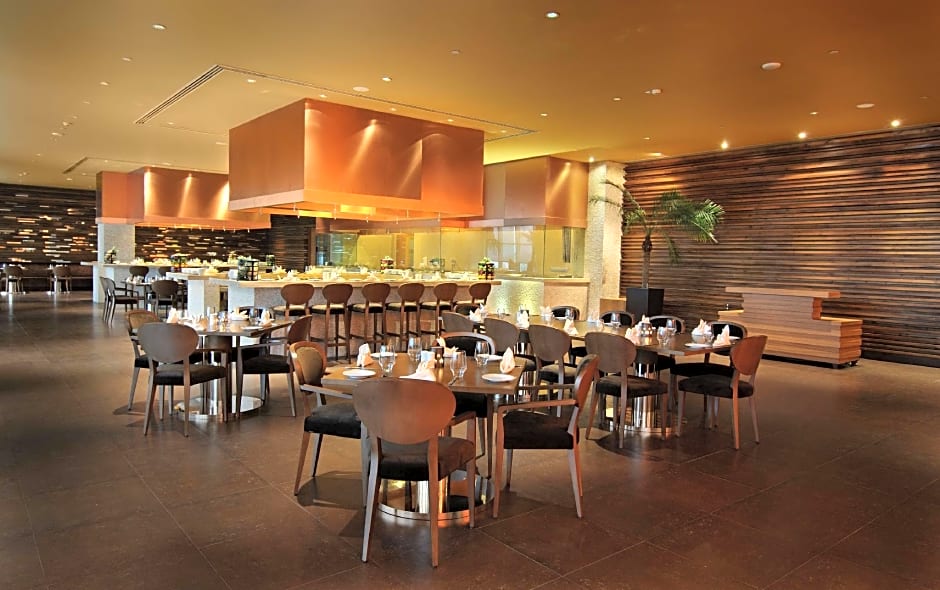 Radisson Blu Hotel New Delhi Paschim Vihar