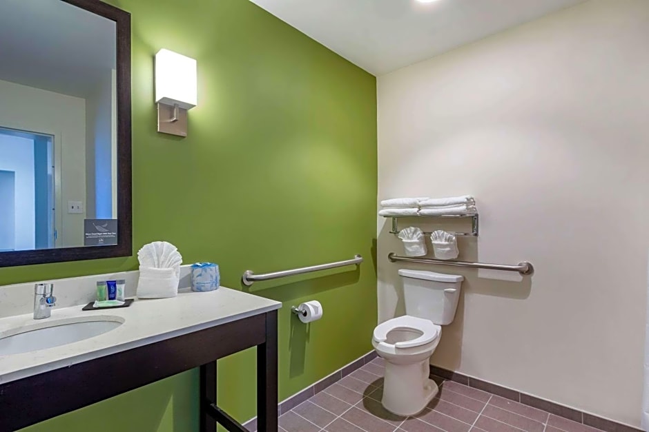 Sleep Inn & Suites Tampa South