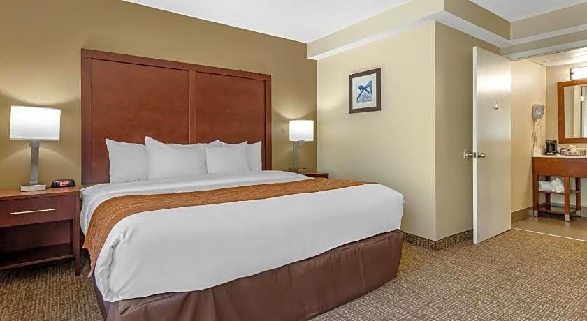 Comfort Inn Charlotte Airport Uptown