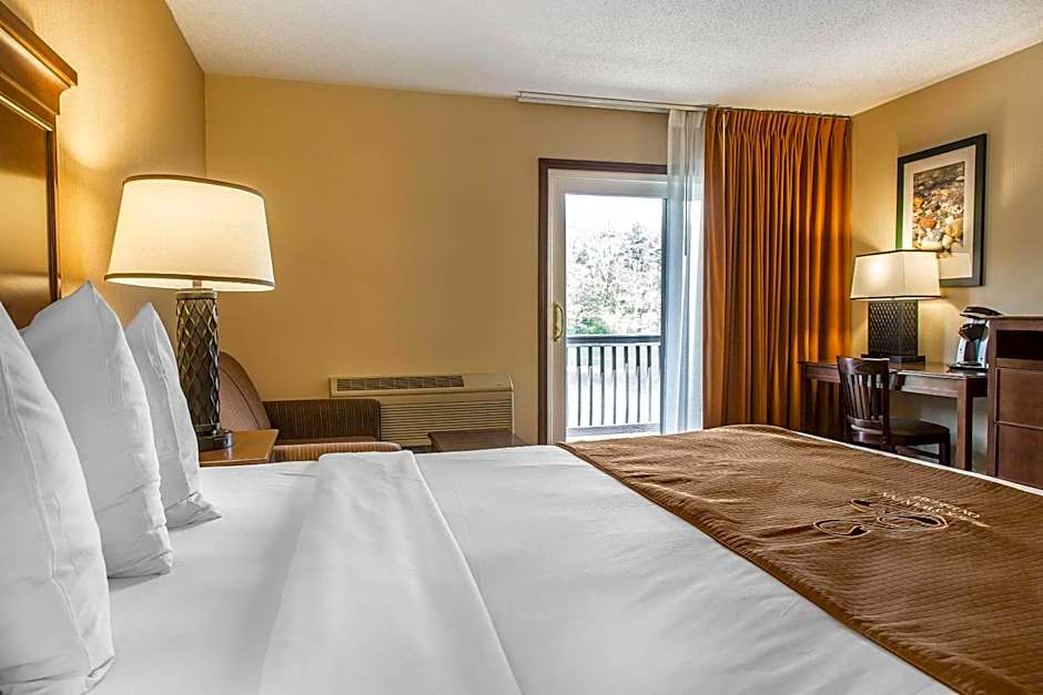 The Black Swan Lee - Lenox, an Ascend Collection Hotel