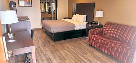 Standard Room, 1 King Bed, Non Smoking