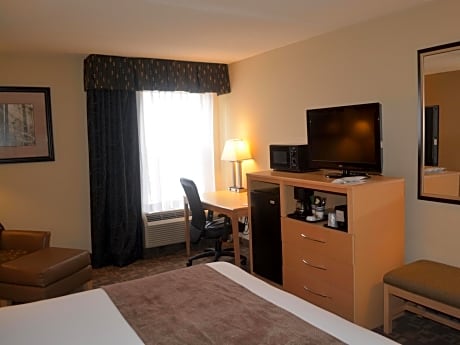 1 King Bed, Nonsmoking, Larger Room, Sofabed
