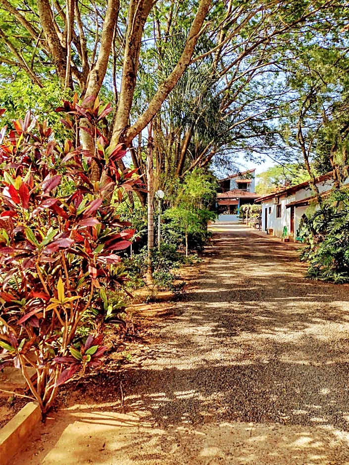 Suits - Canto do sabia