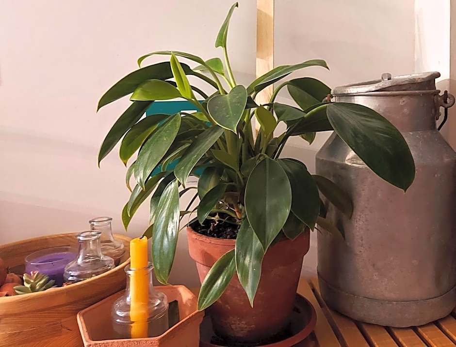 Guesthouse Calvart25