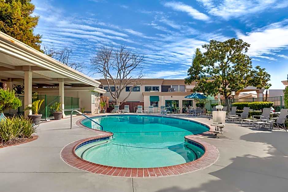 Best Western Plus Black Oak