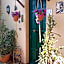Bed and Breakfast Rosangela