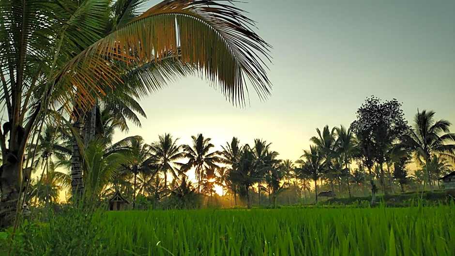 Second Home Bungalows – Tetebatu, ID