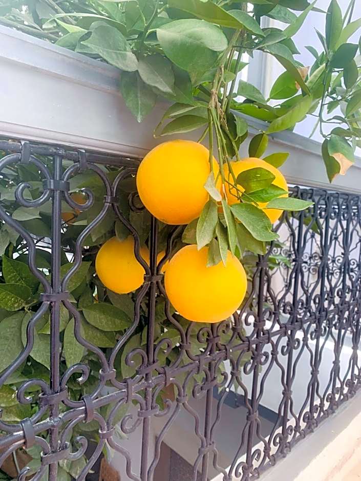 RIAD MAGIE Boutique Hotel