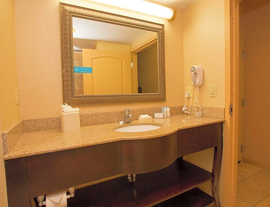 Hampton Inn By Hilton & Suites Houston - Rosenberg