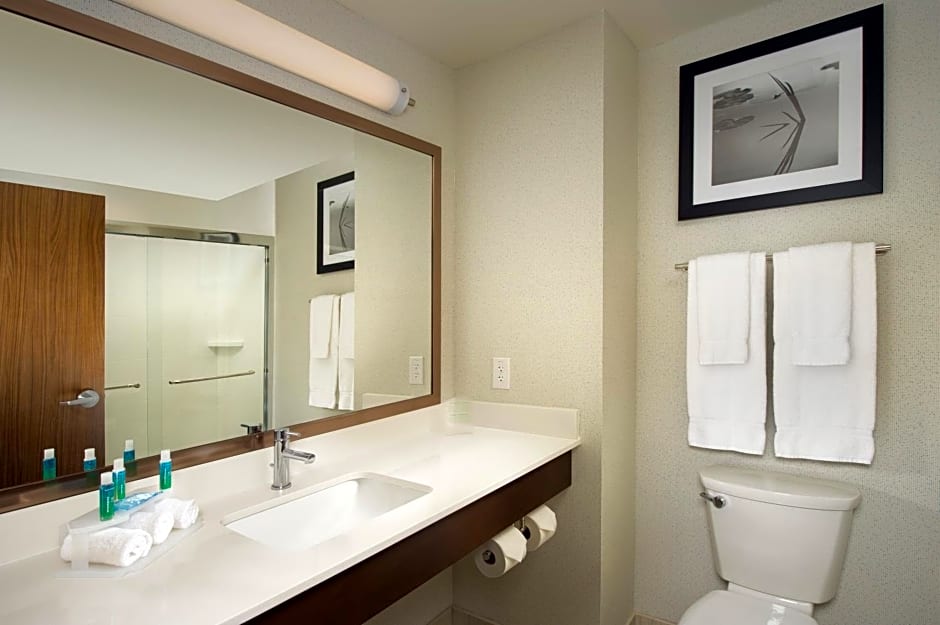 Holiday Inn Express & Suites Bay City By IHG