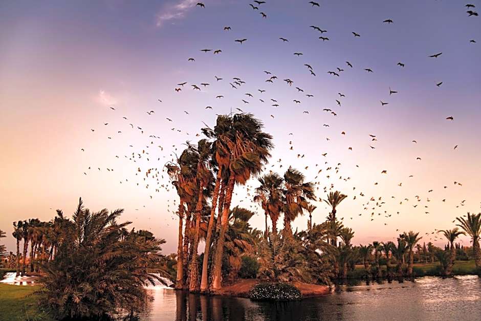 Pickalbatros Hotel Du Golf - Adults Friendly 16 Years Plus- All-Inclusive