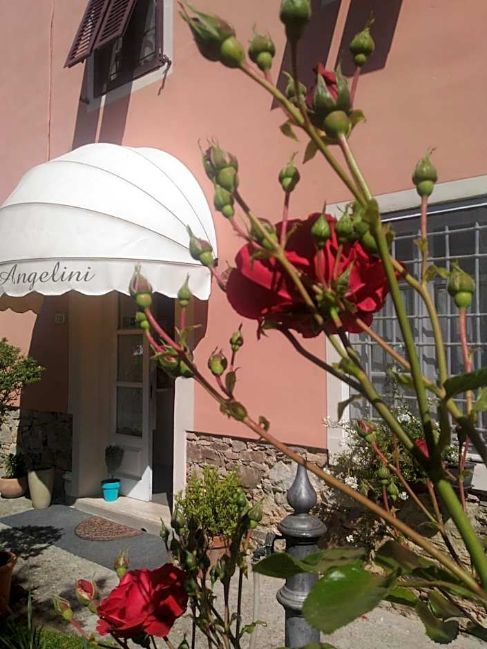 Angelini