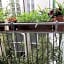Florence Pitti Loft