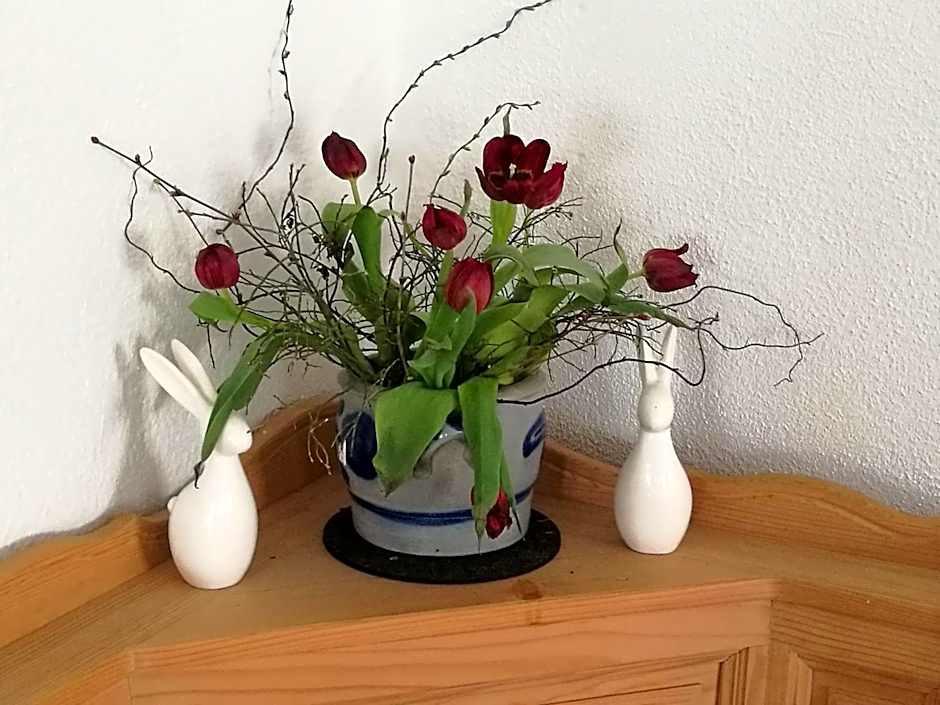 Elbhangzimmer Dresden