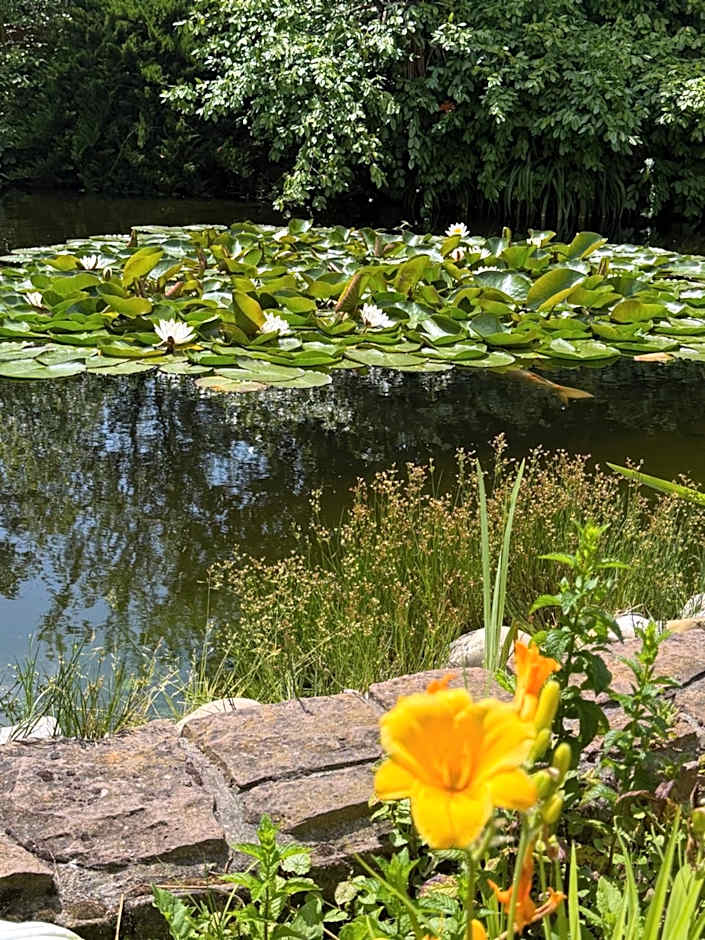 Winzergarten Hotel-Restaurant