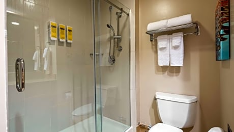 1 King Bed, Non-Smoking, Business Class, Microwave, Refrigerator, Full Breakfast