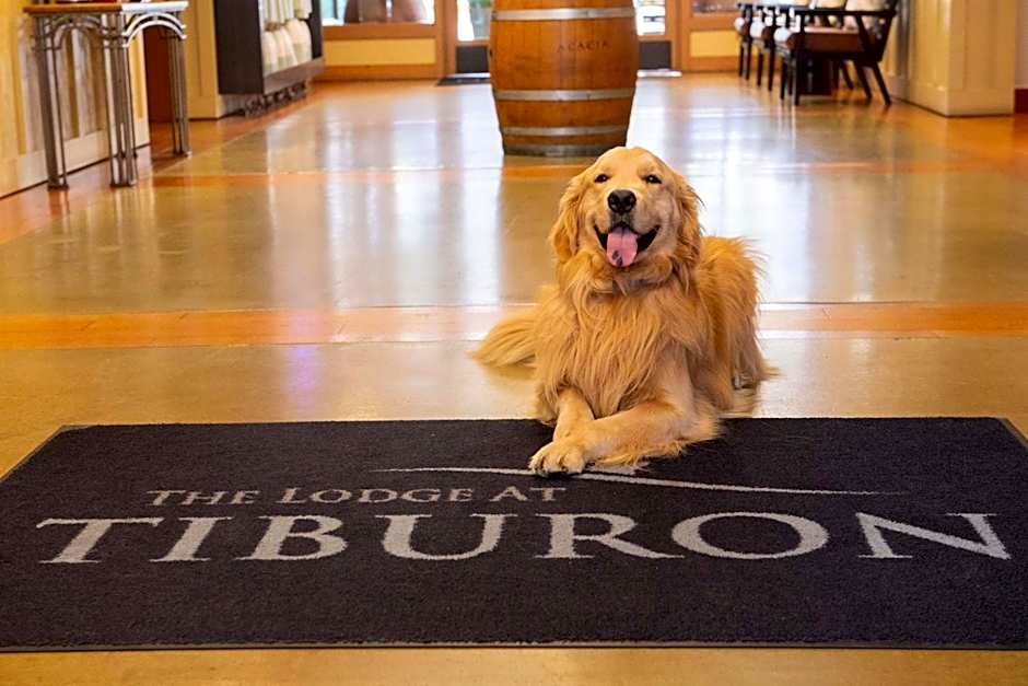 The Lodge At Tiburon
