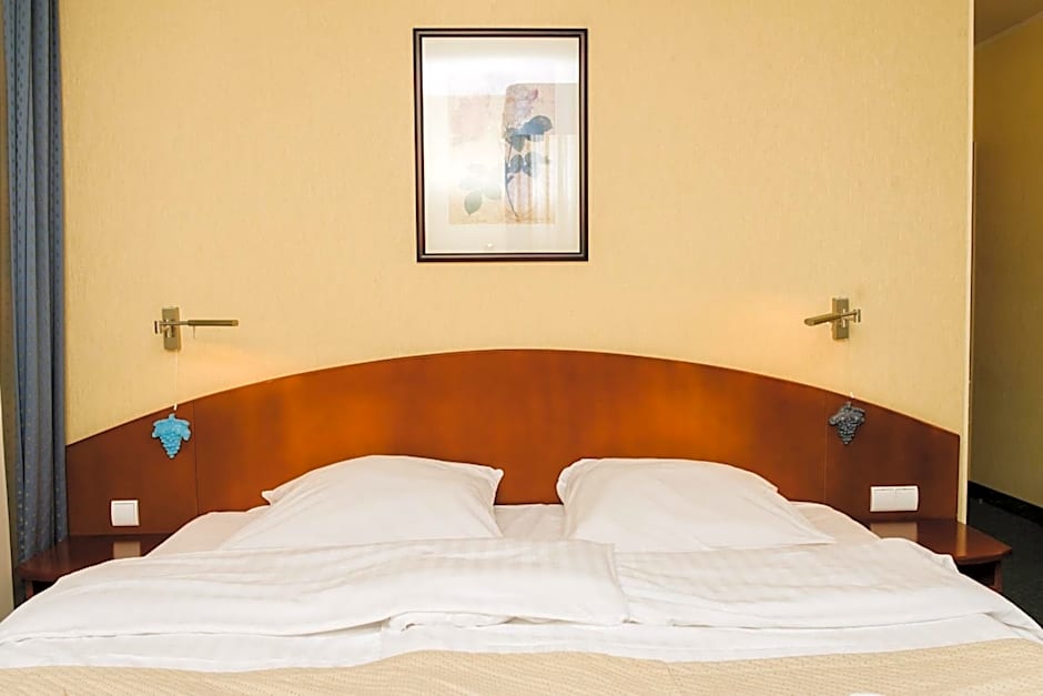 Hotel Rezydencja Solei