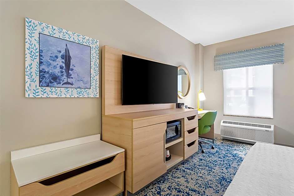 Hampton Inn By Hilton & Suites St. Petersburg/Downtown